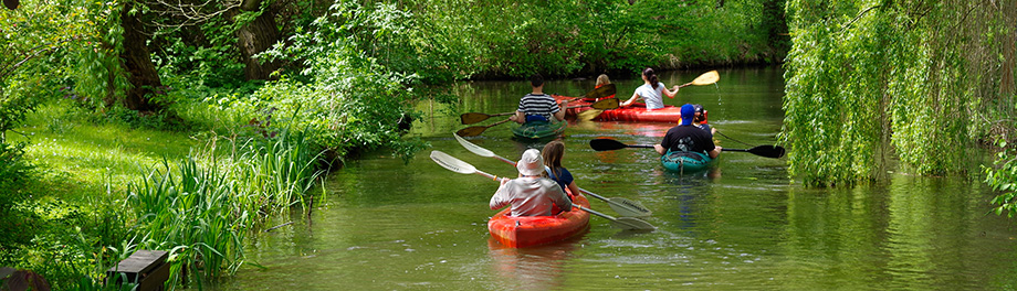 Paddler auf den Fließen im Spreewald