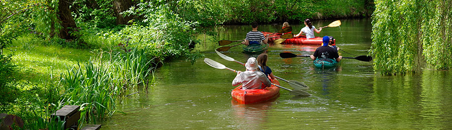 Paddler auf den Fließen im Spreewald